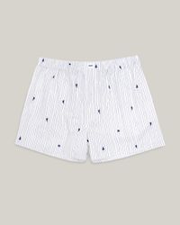 Caleçon imprimé en coton bio - ninja