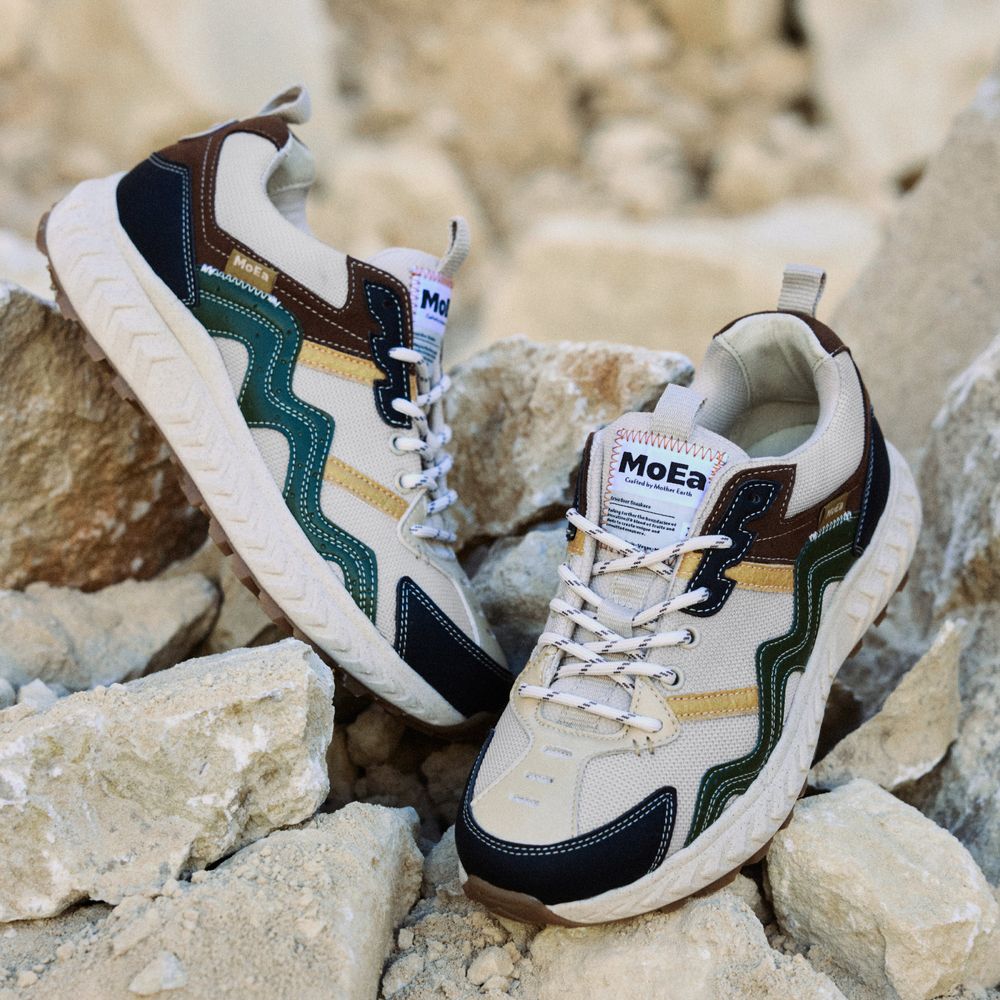 Baskets vegan | multicolore 