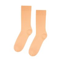 Chaussettes hautes orange en coton bio - sandstone orange