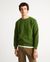 Pull col rond vert en laine certifiée - anteros parrot green