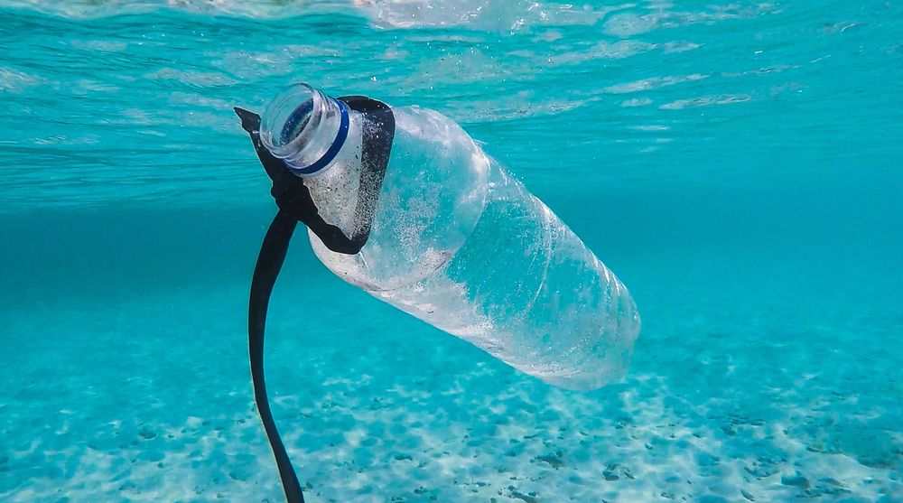 Qu'est-ce que le plastique PET, les bouteilles PETE sont-elles sûres, que  sont les pots pour animaux de compagnie 